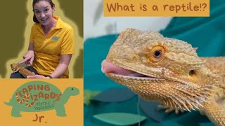 Leaping Lizards JR Episode 1 What is a reptile Bailey the bearded dragon [upl. by Trbor]