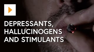 Drug Awareness Depressants Hallucinogens And Stimulants [upl. by Callean]