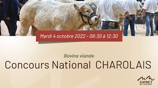 Sommet de lélevage 2022  Concours National CHAROLAIS  04102022 [upl. by Matthiew961]