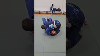 Harpoon Sweep bjj [upl. by Ma833]