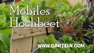 Mini Hochbeet im Einkaufswagen [upl. by Liman]