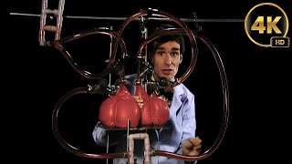 Bill Nye The Science Guy  S02E03  BLOOD AND CIRCULATION  Remastered to 4K [upl. by Seyah]