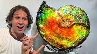 This is a Fossil  The Tucson Gem Shows will Blow Your Mind 🤯 [upl. by Schurman]