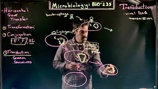 Transduction HGT Part 2 [upl. by Haliehs]