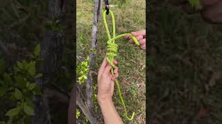 Amazing hitch knot for a rope knot hitchknot usefulknot shorts [upl. by Anecuza]