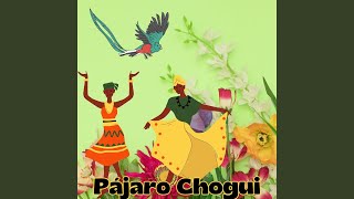 Pajaro Chogui [upl. by Marigolda]