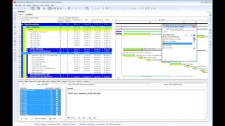 Primavera P6 Steps Step Templates Employee Evaluation 1 of 2 [upl. by Niltac508]