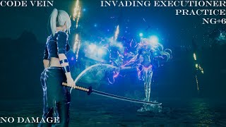 Code Vein  15 Invading Executioner No Damage  Practice Dark Mage Build NG6 [upl. by Anasor]