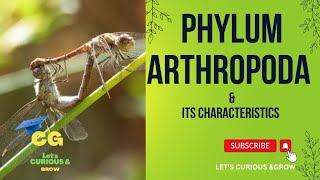 Arthropoda and its Characteristics in Brief [upl. by Htebasile212]