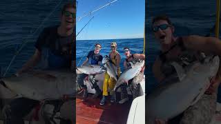 3 bigeye tuna caught tuna fish fishing ocean outdoors dinner sushi [upl. by Hitoshi896]