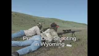 DCPC Varmint Hunts  Prairie Dog Hunting  Wyoming [upl. by Merill]