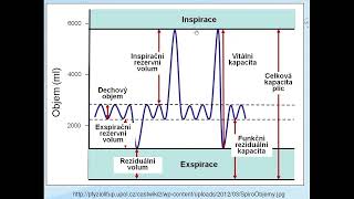 Spirometrie [upl. by Haldeman]