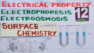 SC28Electrophoresis and Electro osmosisSurface ChemistryTN 12th STD Explanation in TAMIL Unit 10 [upl. by Anikes515]