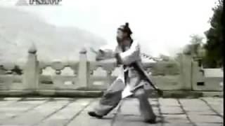 武當八卦飞龙剑Wudang Bagua Flying Dragon Sword [upl. by Shannan]