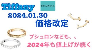 【ハイジュエリー値上げ情報続々】Tiffany20240130価格改定！ [upl. by Imalda]