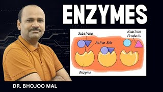 Enzyme Introduction Class 11 Biology  by Dr Bhojoo Mal [upl. by Rubbico]