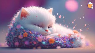 Calming Music for Anxious Cats Soothing Sounds for Deep Relaxation and Sleep [upl. by Inilahs]