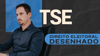 TSE  Direito Eleitoral Desenhado [upl. by Hedi]