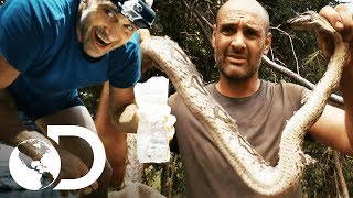 Las comidas de supervivencia más extremas  Ed Stafford al extremo  Discovery Latinoamérica [upl. by Fergus]