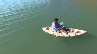 Kayaking at Tannum Sands [upl. by Ilyse]