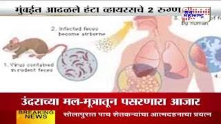 What is Hantavirus [upl. by Ilil]