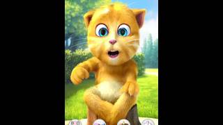 My Talking Ginger 2 Gameplay Android iOS mytomginger2 shorts [upl. by Ennaegroeg]