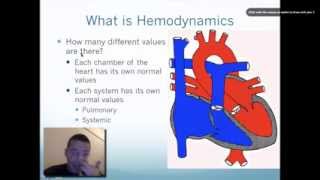 Hemodymanics  Lecture 1  What is Hemodynamics [upl. by Yevi]