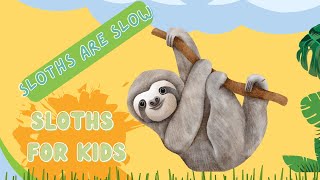 Sloths  Why Sloths are Slow  Fun Facts and Fascinating Insights for Kids [upl. by Fiedling]