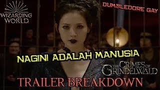 Dia NAGINI Si Siluman Ular  Fantastic Beasts The Crimes of Grindelwald Final Trailer Breakdown [upl. by Alac190]