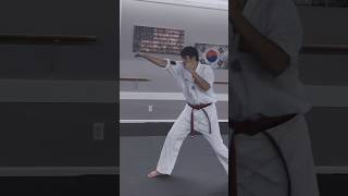 Taekwondo Striking amp Combinations  Hand Techniques shorts [upl. by Anidan3]