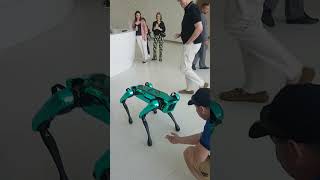 DOG ROBOT AT THE MUSEUM OF THE FUTURE IN DUBAI UNITED ARAB EMIRATES dogrobot unitedarbemirates [upl. by Airak]