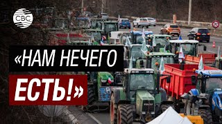 Швейцарские фермеры присоединились к общеевропейской протестной волне [upl. by Yee]