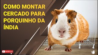 COMO MONTAR CERCADO PARA PORQUINHO DA ÍNDIA  PASSO A PASSO [upl. by Carolee779]