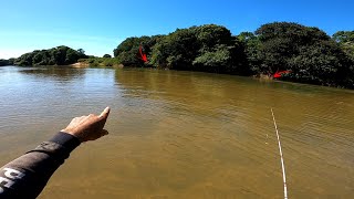 Encontrei um corta rio cheio de Tucunarés Robalos e outras variedades de peixes Pescaria [upl. by Falda]