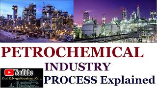 Petrochemical Industry  Process Overview  Detailed Explanation [upl. by Esilana689]