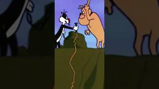 Classic cartoon Ton And Jerry funny cartoon shorts viralshorts india love viralvideo 🎁😍 [upl. by Marmawke152]