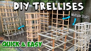 How to Make a Trellis Multiple Options and Skill Levels Full Tutorials amp Quick Walkthroughs [upl. by Atnohs]