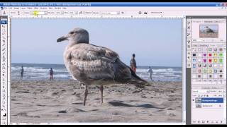 How To Photoshop Remove Objects From Images [upl. by Ahsinar]