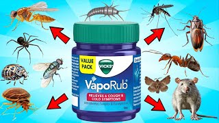 VICKS VAPORUB Hack For Pest Removal  MOSQUITO ANTS FLIES SPIDERS RODENTS COCKROACHES GNATS [upl. by Yekim]