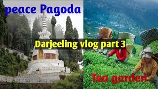 Darjeeling vlog part 3  Darjeeling tour 🥰 [upl. by Whitten]