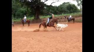 Treino de laço de bezerro Fazenda SJP [upl. by Elyl750]