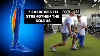 3 Exercises To Strengthen Your Soleus Calf Muscle [upl. by Sheffield615]