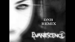 Evanescence  Bring Me To Life BlackSkyAudio Remix [upl. by Neros65]