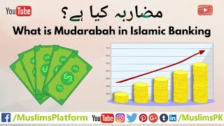 What is Mudarabah Mudarabah in Islamic Banking in UrduHindi by Muslims Platform [upl. by Adamis]