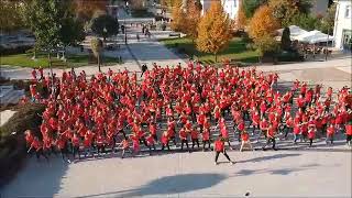 2018 Flashmob Gödöllő [upl. by Telfore]