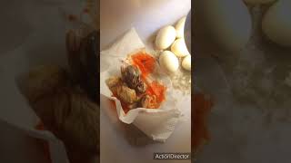 Unhatched eggs hatch manually cesarean method Rescued 4 chicks [upl. by Sadye]