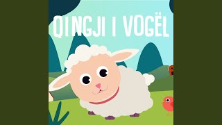 Qingji i Vogel [upl. by Moshe]