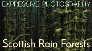 Expressive Photography Scottish Rain Forests [upl. by Cobb]