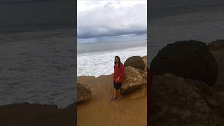 Point Loma Sandiago California ll seals and sealions La Jolla [upl. by Eniroc]