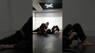 3 submissions From Side control bjj jiujitsu grappling news bjjtechniques mma fightnews [upl. by Norb]